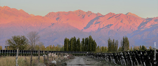 Catena Zapata, El Enemigo, CARO: the new vintages!